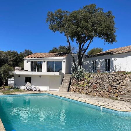 Les Terrasses Des Gardies Bed and Breakfast Pignan Exteriör bild